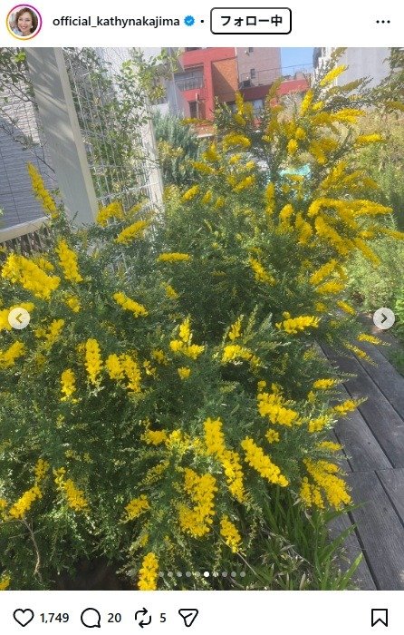 出所：キャシー中島のInstagram（＠official_kathynakajima）　参照日：2026年4月14日
