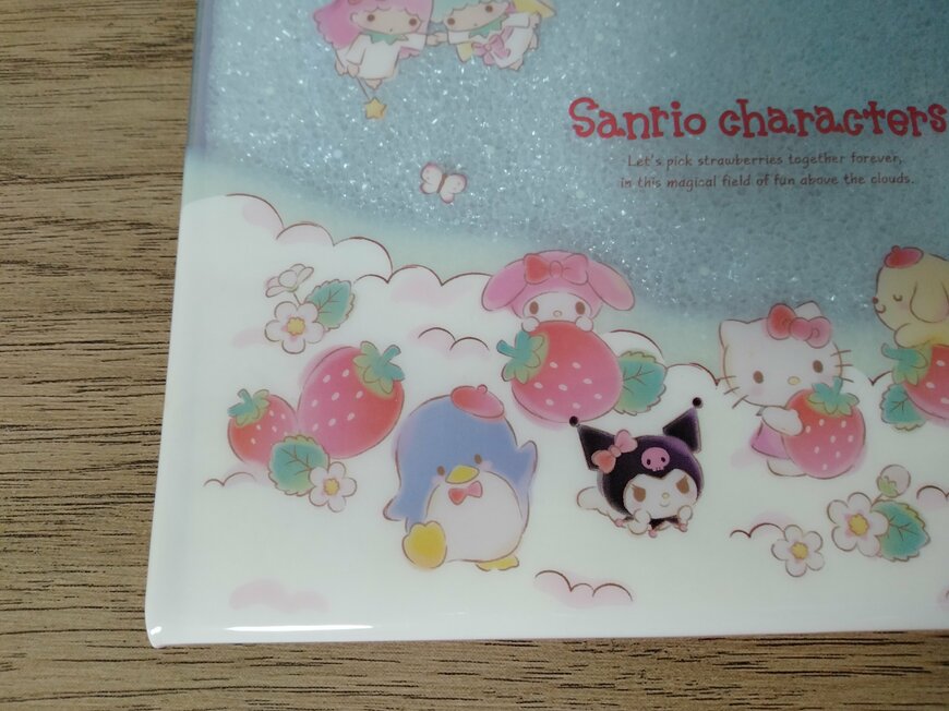 筆者撮影（セリア、フラットポーチ M/X いちご　27217）