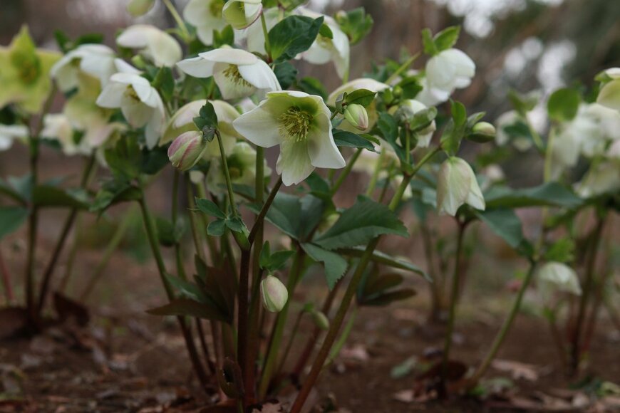 minkim31/Shutterstock.com