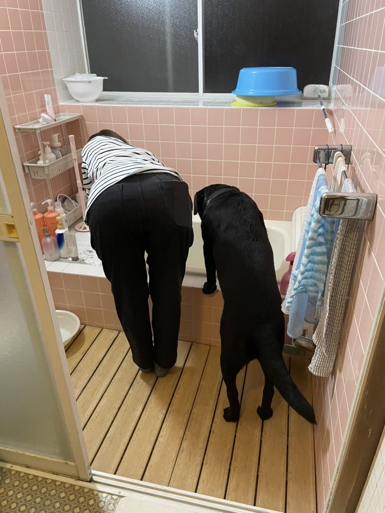 出所：@umekochanyo