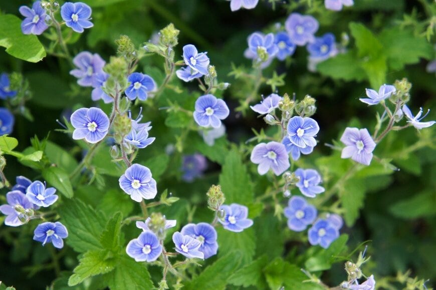 skymoon13/istockphoto.com