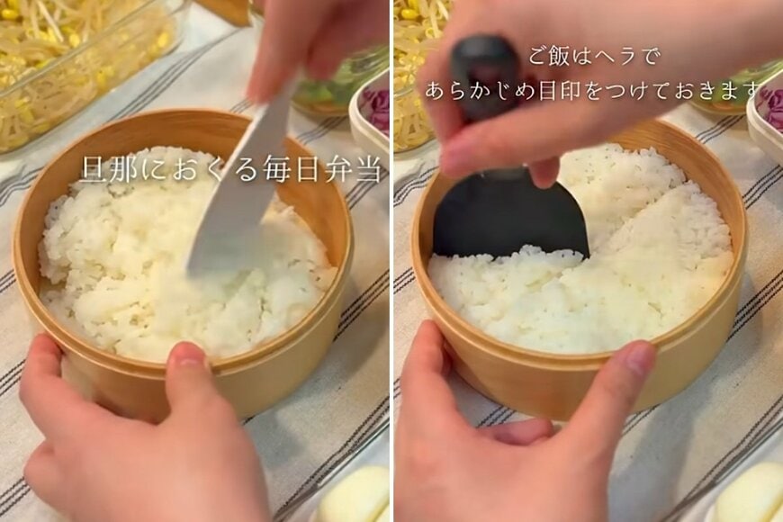 投稿の画像