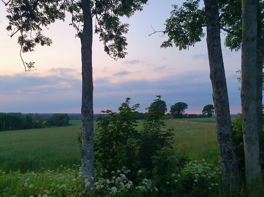 スウェーデンの夏至の日22時半の空