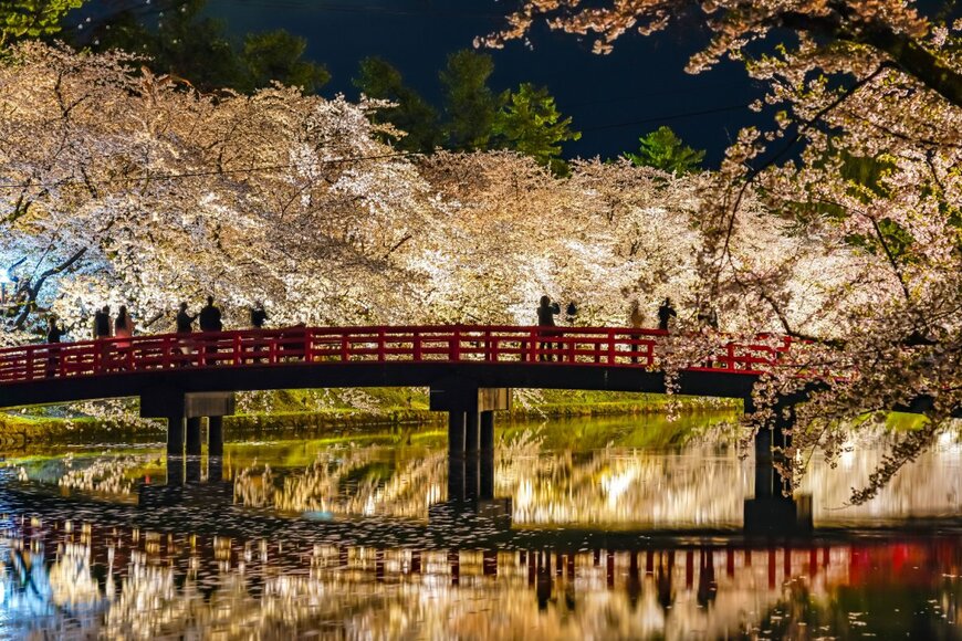 【お花見】「日本三大夜桜」の名所は?ライトアップされた美しい夜桜を紹介 | LIMO | くらしとお金の経済メディア