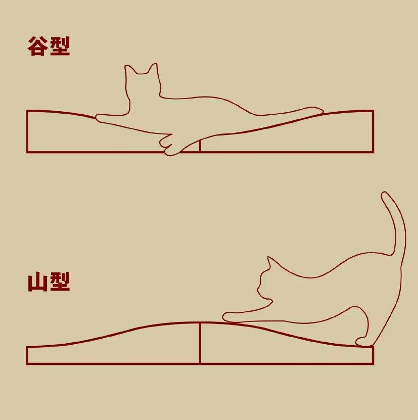 無印良品公式 ダンボール 爪とぎベッド 画像