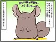 つきっきりの看病は動物でも大変なこと。チンチラ多頭飼いの飼い主の苦悩とは【チンチライフ25話】