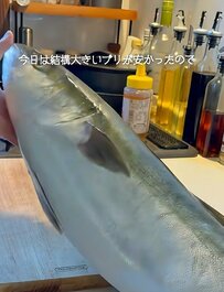 今日の「旦那弁当」の材料は…丸ごとブリ1本！？ごはんに段差をつけてキッチリ詰めた〈ブリの照り焼き弁当〉が話題