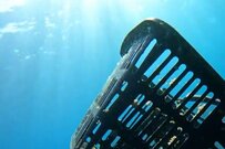 静岡県・伊豆沖で発見された九州にあるホームセンターの「買い物かご」　海上保安庁に流れ着く可能性を聞いてみた