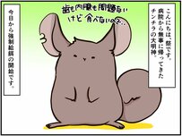 つきっきりの看病は動物でも大変なこと。チンチラ多頭飼いの飼い主の苦悩とは【チンチライフ25話】