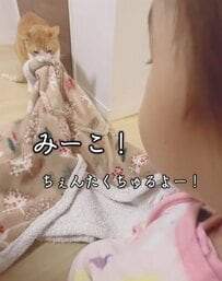 【幼児VS猫】シカトする猫に幼児がブチ切れた？ほのぼのした”ガチンコ対決”に思わず笑ってしまう