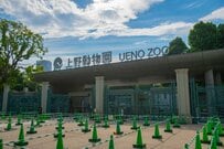 【2026年GWにおすすめ】5月4日「みどりの日」5月5日「こどもの日」都内の入園無料スポット8選