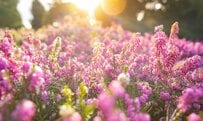 【療育手帳】所持者は約132万人「5年連続の増加」年齢別の人数も確認、知的障がい者の就職率と受けられる支援を解説