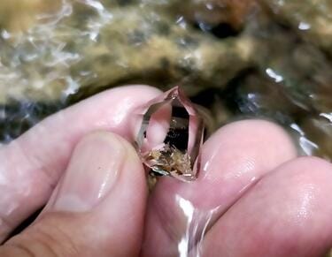 山を散策中に発見した「天然の水晶」が話題 思わず目を疑う透明度に