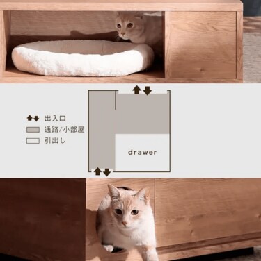 LOWYAで人気の「猫と暮らす家具」3選。猫ライフを楽しもう | LIMO