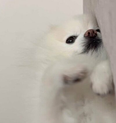 まだ起きたくないようで……