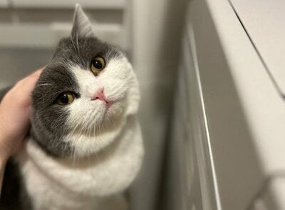 毎日健気に待ってくれているそう