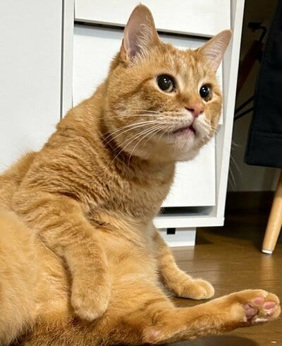 「おっ！そろそろかい？」