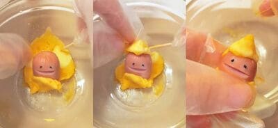 投稿動画のワンシーン