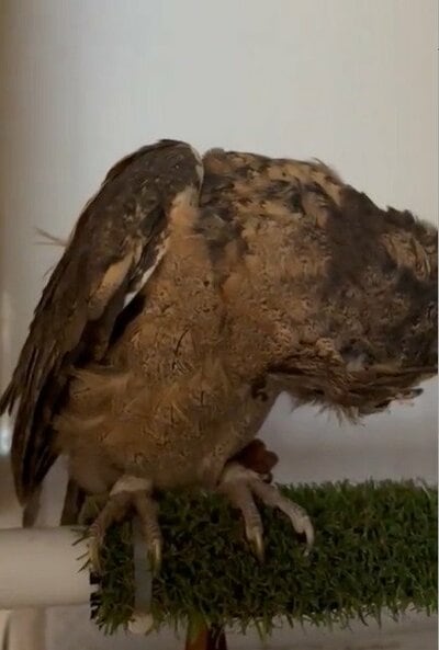 投稿動画のワンシーン