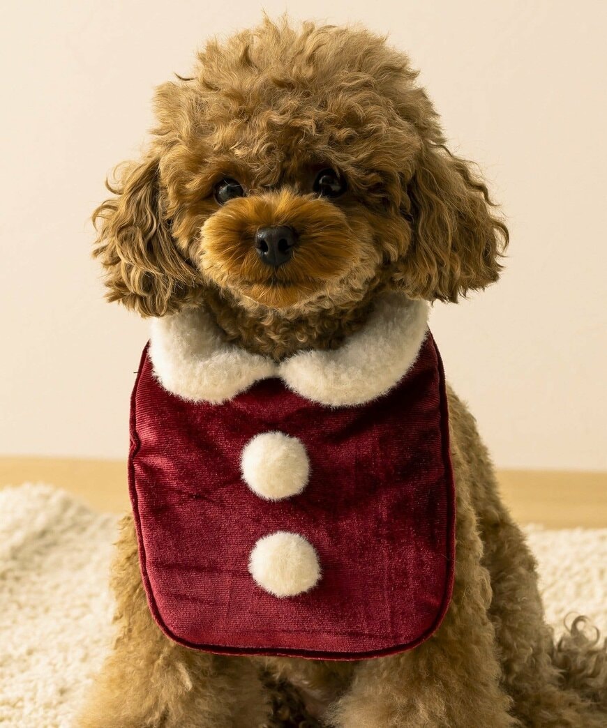 画像出所：3COINS公式サイト（PAL CLOSET）