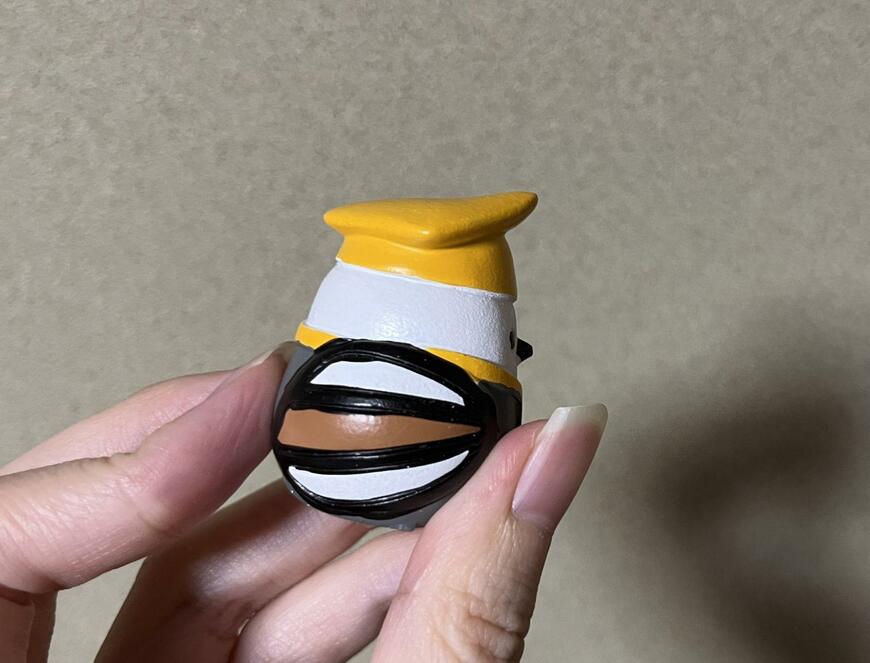 筆者撮影（キャンドゥ、リトルフレンド カレッジコスプレ シマエナガ）