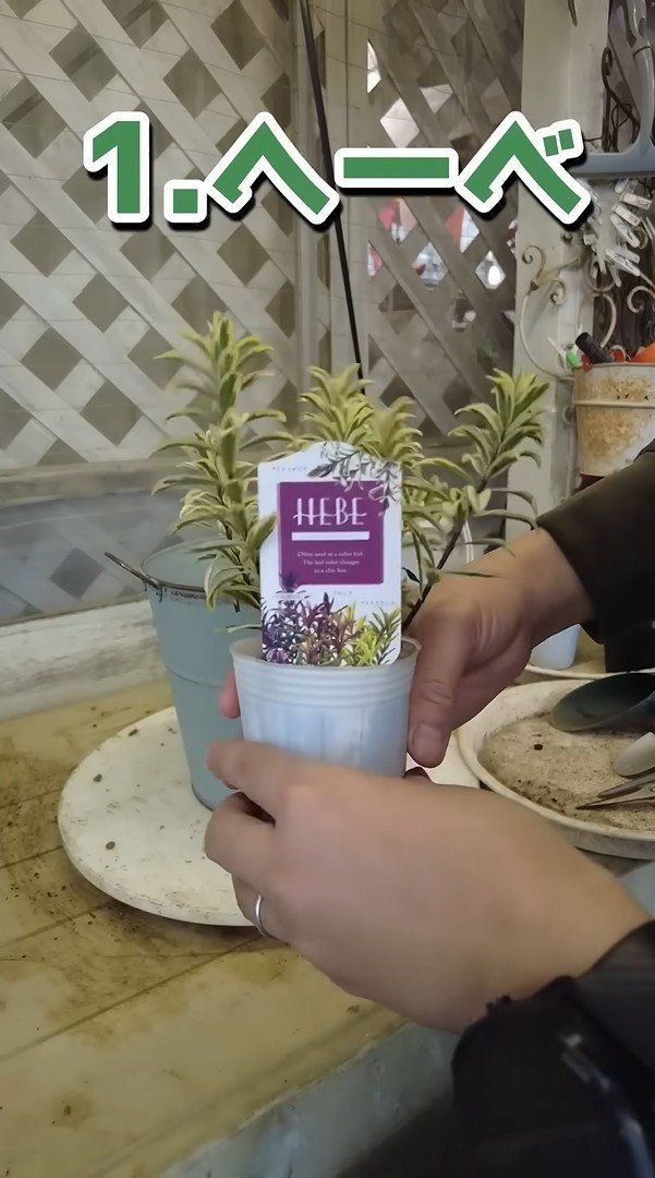 出所：@petit_fleur