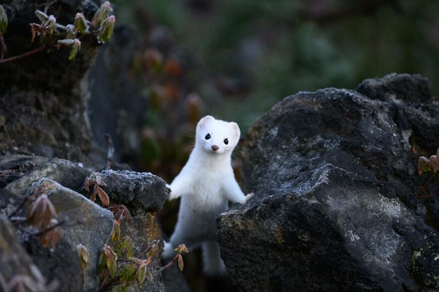 出所：@slashslashphoto