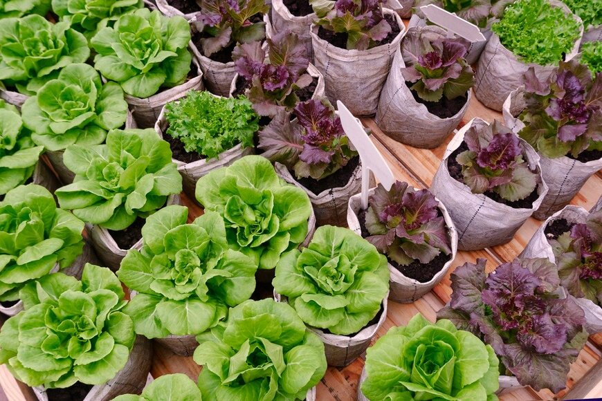 Prapat Aowsakorn/istockphoto.com