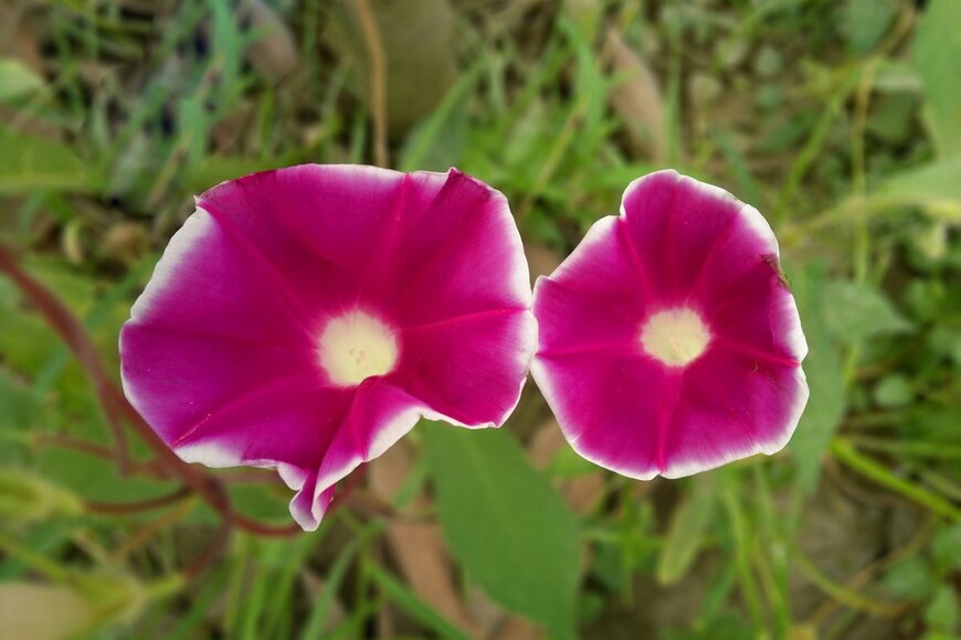 Photoay/shutterstock.com