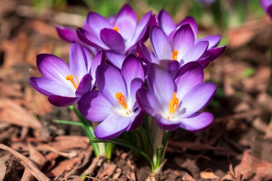 TShum/istockphoto.com