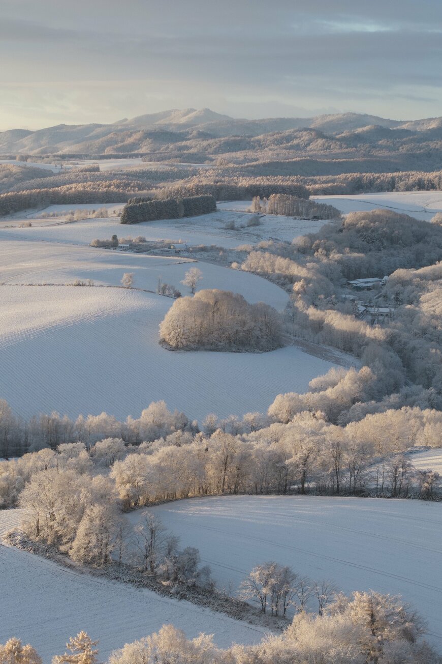 出所：@donchan1101