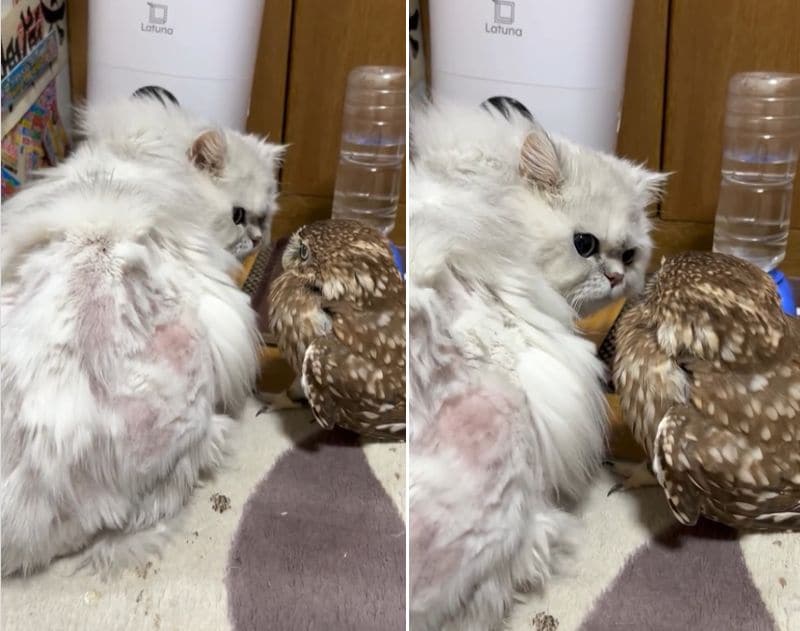 出所：@cr8673.hiro