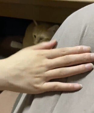 出所：@luna7taka9