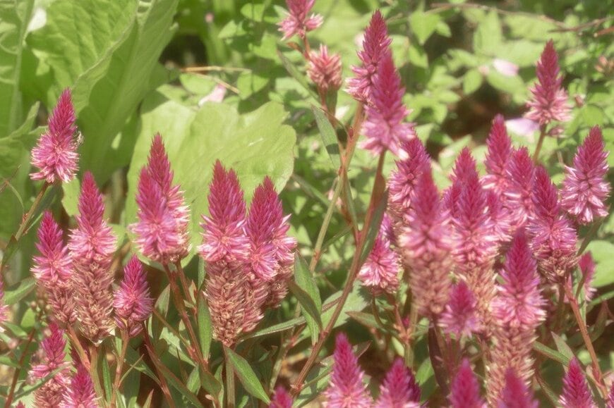 Nyon/istockphoto.com