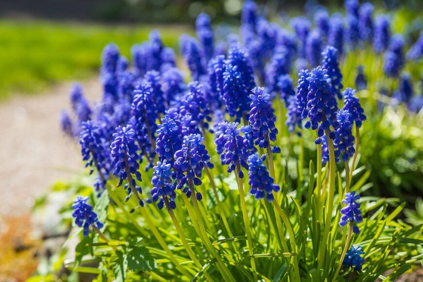 undefined undefined/istockphoto.com