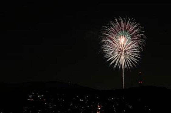 出所：生駒市公式サイト