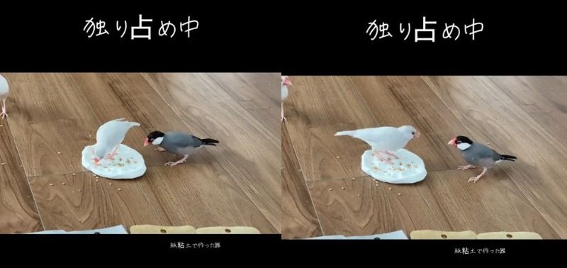 出所：@buntyo_suehiro