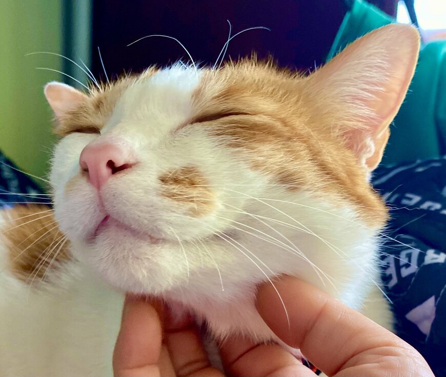 出所：@luna7taka9