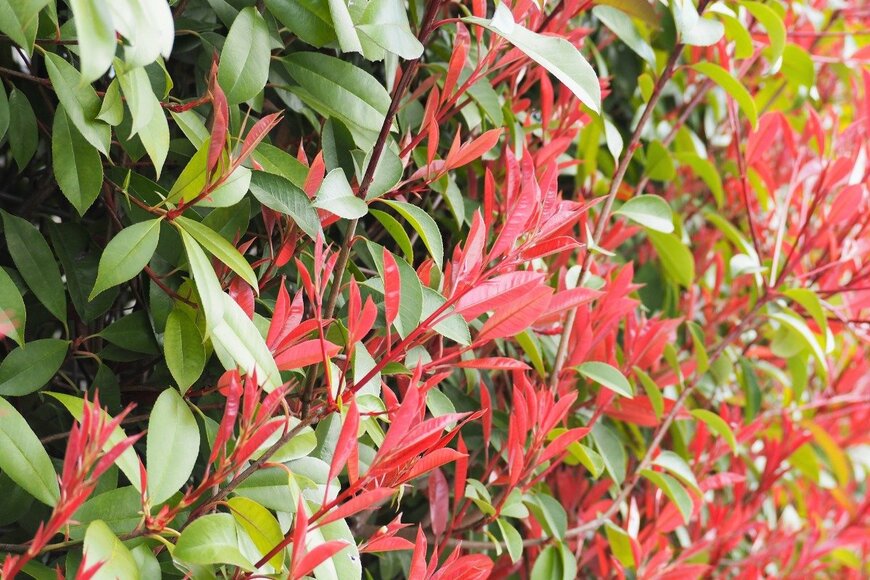 poteco/istockphoto.com