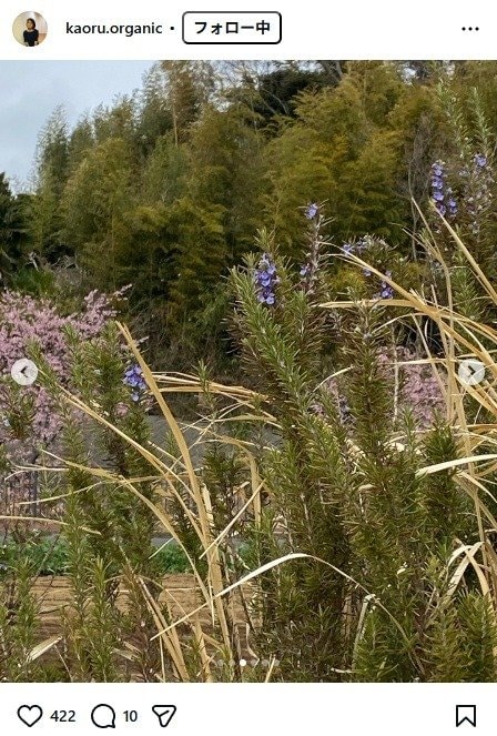 出所：杉田かおるのInstagram（＠kaoru.organic）　参照日：2026年3月13日