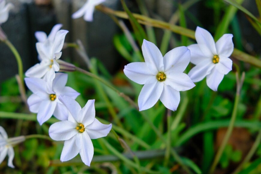 k0on121/istockphoto.com