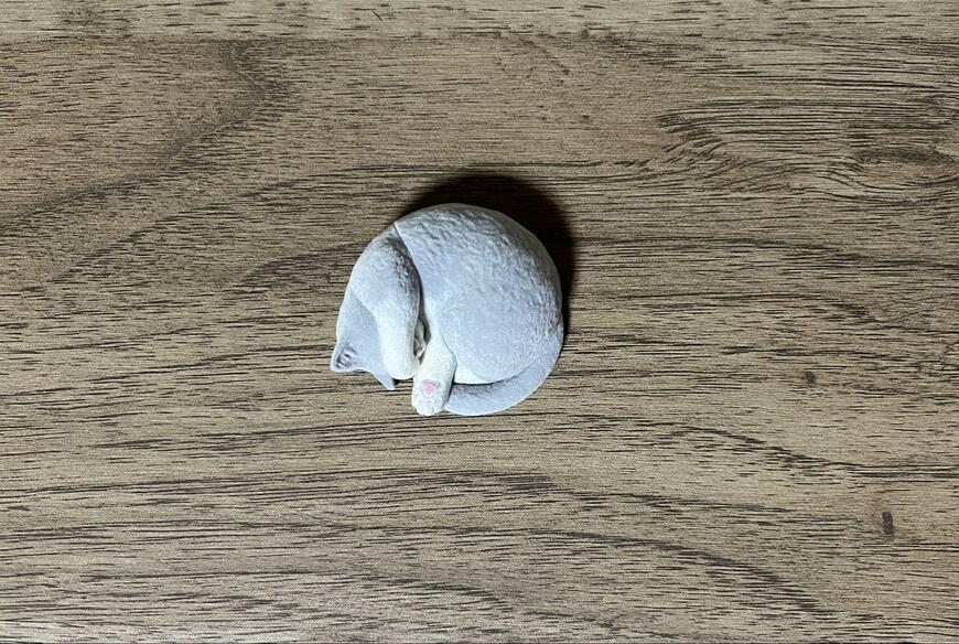 筆者撮影（タカラトミーアーツ、まぶしいにゃん）