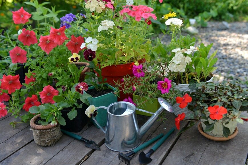 【ガーデニング】小さな庭が特別な空間に！カワイイ花壇の作り方＆オススメの花5選