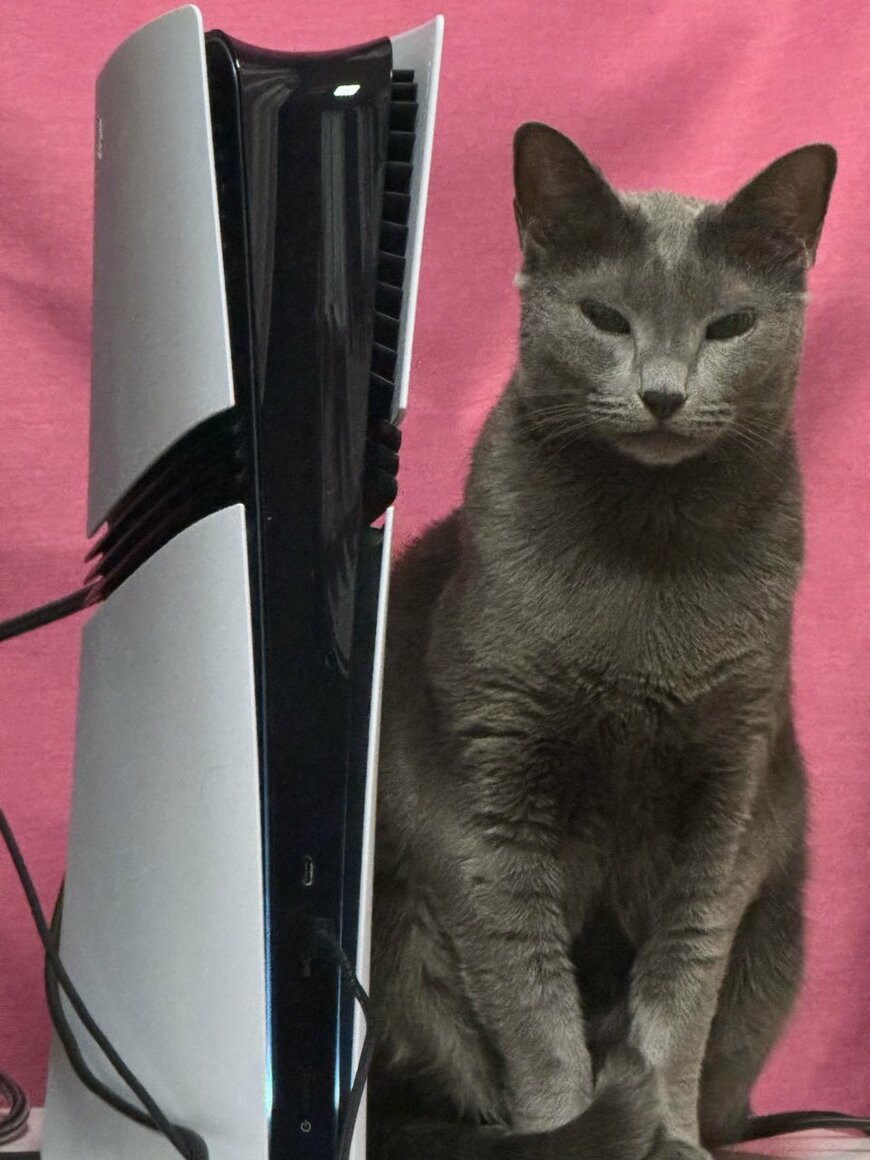 PS5Proに不満げな猫