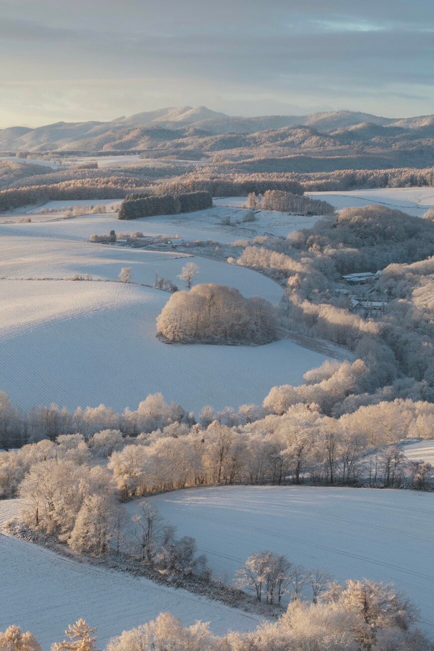 11月上旬の北海道美瑛町の風景