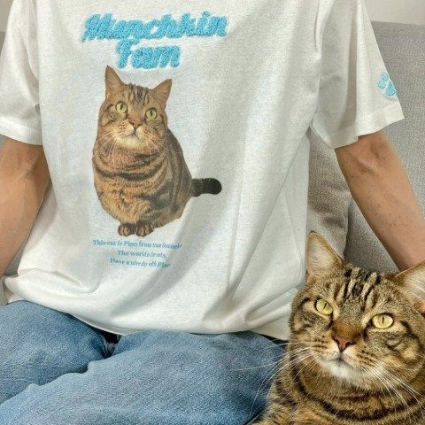 出所:しまむら公式 レディース サガラ刺繍Tシャツ(チーム犬猫)
