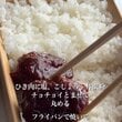 【のっけ弁当】シンプルで素敵　美しく詰まった綺麗な「簡単バーグ弁当」がたまらなくおいしそう…