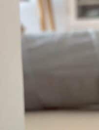 ヒョッコリ現れた猫　目を疑うほど愛らしい『ねこ圧』おねだりが話題