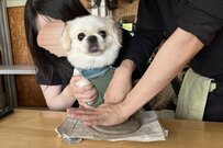 愛犬と一緒に「陶芸教室」に参加　完成した肉球アートに「愛しすぎるよ…」