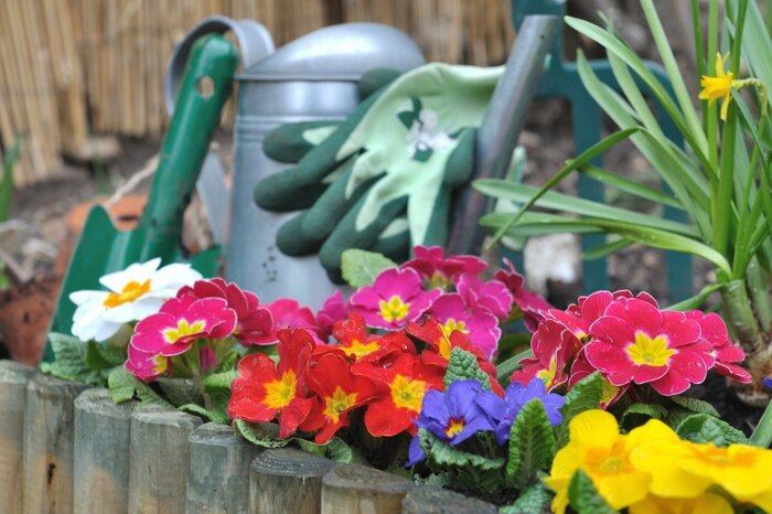 sanddebeautheil/istockphoto.com